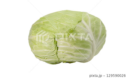 新鮮なキャベツ 129590026