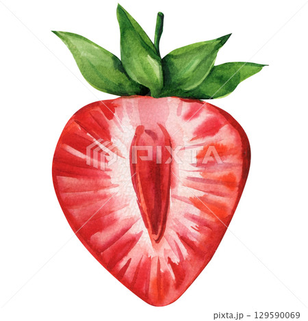 Fresh half strawberry watercolor illustration red berry slice with green leaves botanical food art for summer fruit design 129590069