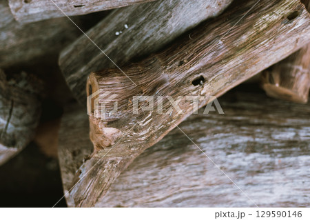 Pile of chopped fire wood prepared for winter 129590146