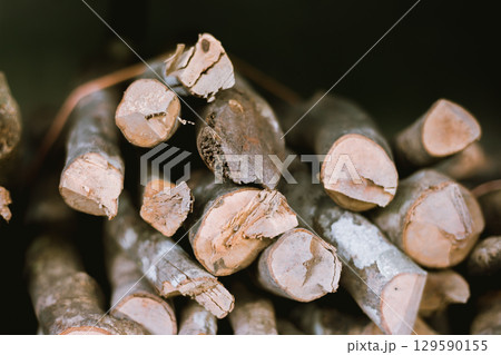Pile of chopped fire wood prepared for winter Pile of chopped fire wood prepared for winter 129590155