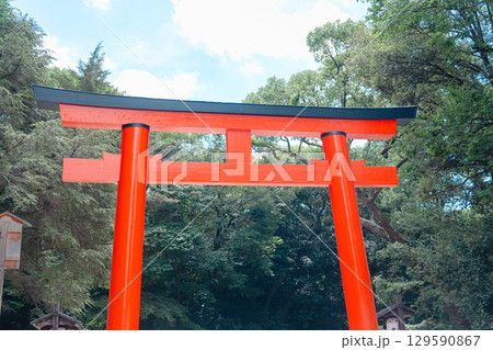 下鴨神社と鴨川 129590867