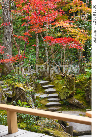大原　宝泉院　宝楽園の美しい紅葉（京都府京都市左京区）　 129591330