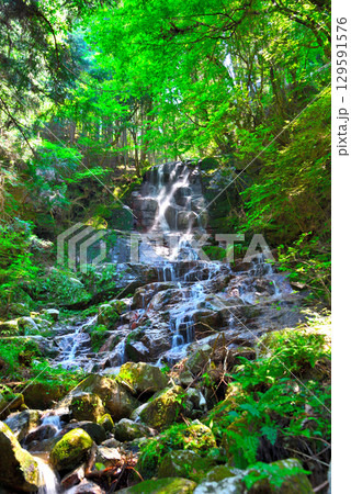 《岐阜県》恵那市串原　来若の滝 129591576