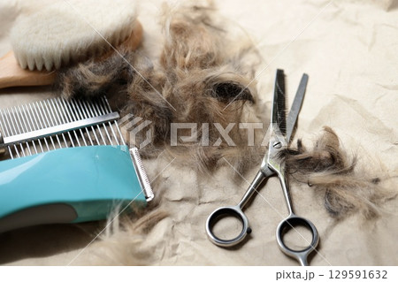自宅でセルフカットした犬の毛とトリミング用品 129591632