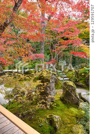 大原　宝泉院　宝楽園の美しい紅葉（京都府京都市左京区）　 129591707