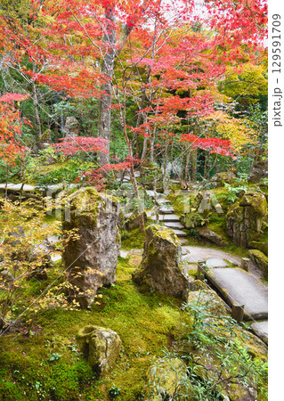 大原　宝泉院　宝楽園の美しい紅葉（京都府京都市左京区）　 129591709