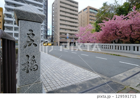 早春の一条戻橋 129591715