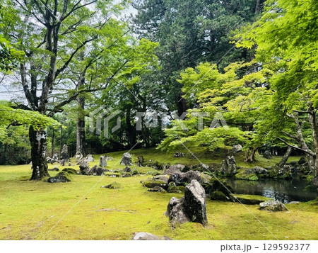 新緑に包まれた北畠神社、三重県 新緑に包まれた北畠神社、三重県 129592377