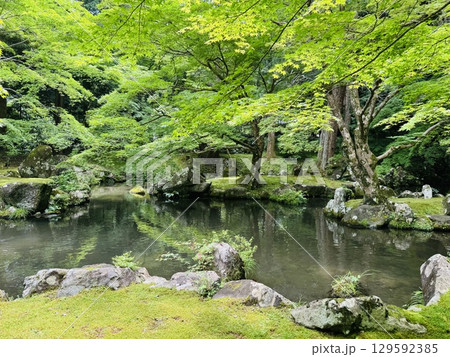 新緑に包まれた北畠神社、三重県 129592385