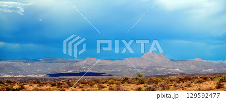Landscape Sonoran Desert Arizona 129592477