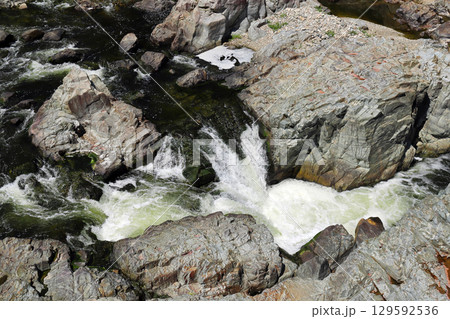 武庫川の渓流 129592536