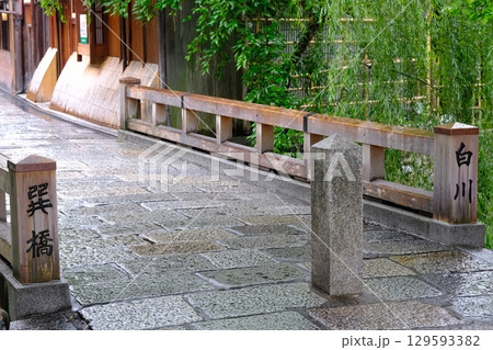 雨の白川辰巳橋 雨の白川辰巳橋 129593382