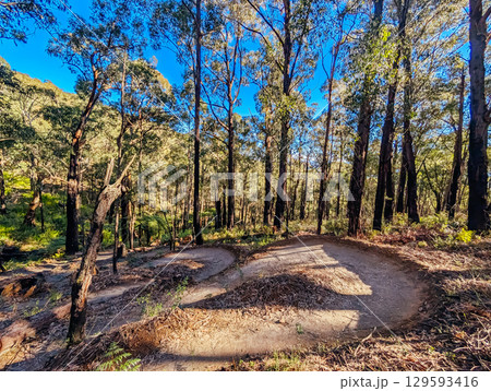 Warburton Mountain Bike Park in Australia Warburton Mountain Bike Park in Australia 129593416