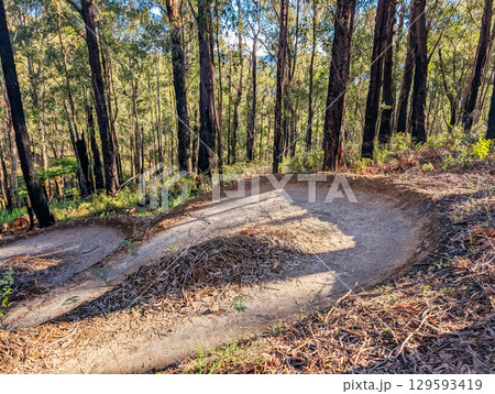 Warburton Mountain Bike Park in Australia Warburton Mountain Bike Park in Australia 129593419
