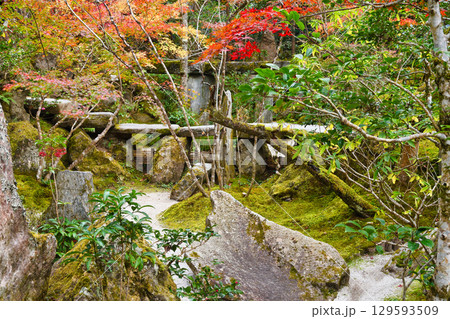 大原　宝泉院　宝楽園の美しい紅葉（京都府京都市左京区）　 129593509