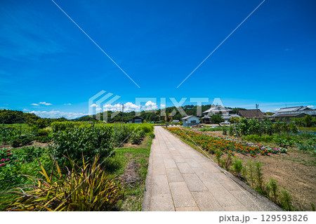 奈良の飛鳥寺 奈良の飛鳥寺 129593826