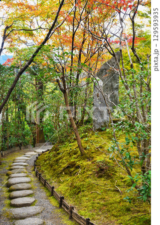 大原　宝泉院　宝楽園の美しい紅葉（京都府京都市左京区）　 129593935