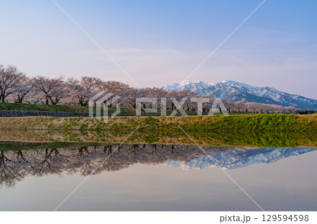 【富山県】あさひ舟川「春の四重奏」「水鏡」 129594598
