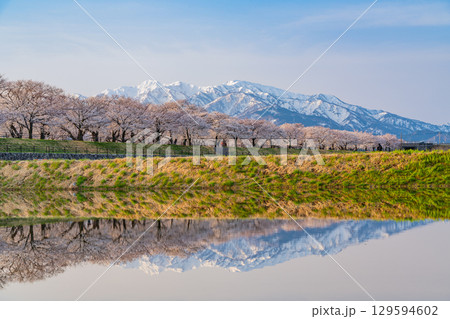 【富山県】あさひ舟川「春の四重奏」「水鏡」 129594602