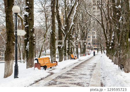 Empty benches covered with snow in winter park Empty benches covered with snow in winter park 129595723