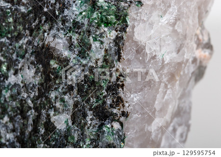 Macro mineral stone Fuchsite on a white background Macro mineral stone Fuchsite on a white background 129595754