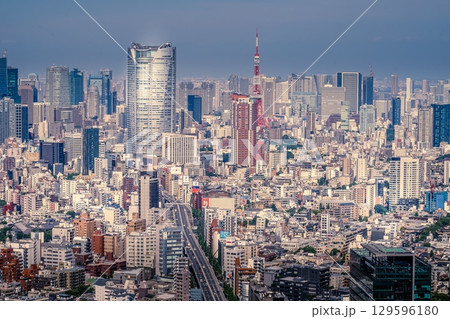 渋谷スカイから見える東京の街並み 129596180