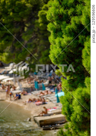 Selective focus of lush green trees with sunbathers on scenic beach blurred in the background 129596606