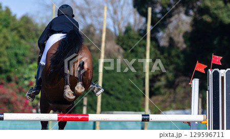 Show Jumping Horse Rider Jump Flight Rear Action 129596711