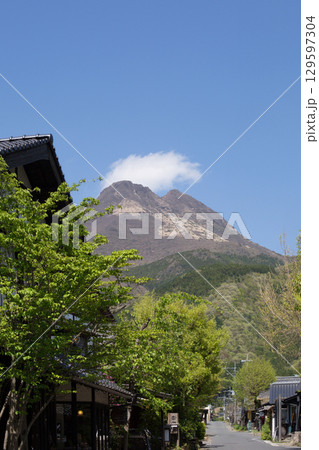 湯布院　湯の坪街道 129597304