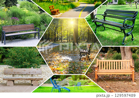 A beautiful bench in a city park against the backdrop of trees. collage. A beautiful bench in a city park against the backdrop of trees. collage. 129597489