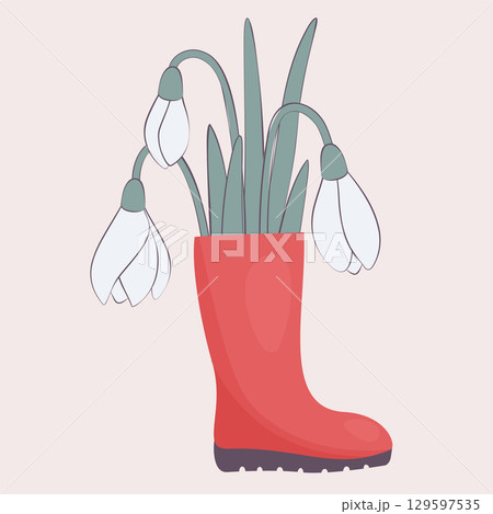 snowdrops in rubber boots 129597535