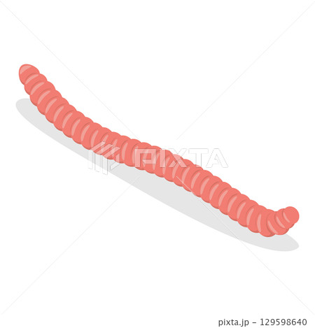 3D Isometric Flat Vector Set of Caterpillars And Worms, Biology and Education. Item 3 129598640