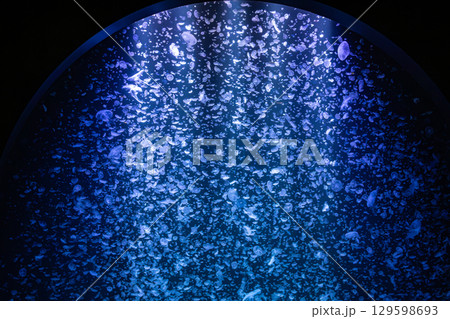 クラゲの幻想:群舞する青の世界 クラゲの幻想:群舞する青の世界 129598693