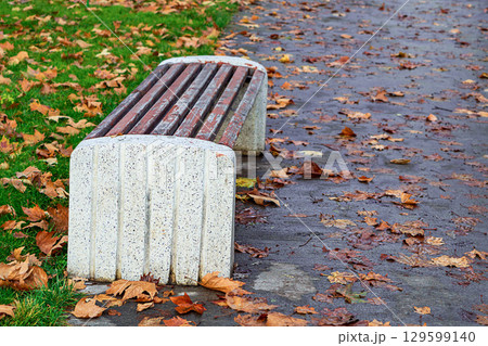 Free empty park bench without back with side supports cast from liquid concrete in autumn with empty copy space. Place for rest during walks in the park. Blank for artwork with area for text, slogan 129599140
