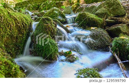 Clear water cascades over green mossy stones in a peaceful forest setting 129599790