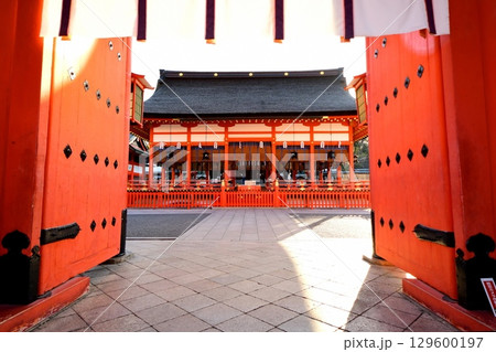 京都府　伏見稲荷大社 外拝殿（重要文化財） 京都市伏見区深草藪之内町　2022 年 2月 129600197