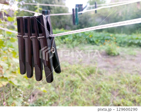 Clothespins Hanging on a Line in a Yard With Green Plants and Trees in the Background 129600290