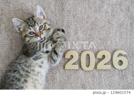 Small tabby kitten is playfully lying next to the numbers "2026". Suitable for concepts of the New Year, calendar, pets and happy moments Small tabby kitten is playfully lying next to the numbers "2026". Suitable for concepts of the New Year, calendar, pets and happy moments 129601574