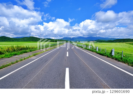 そば畑を走る道　（北海道幌加内町） 129601690