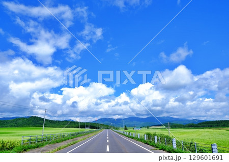 そば畑を走る道　（北海道幌加内町） 129601691