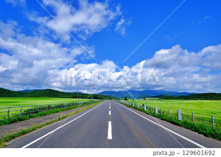 そば畑を走る道　（北海道幌加内町） 129601692