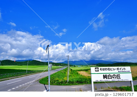 そばの花ビューポイント　純白の丘　(北海道幌加内町) 129601757