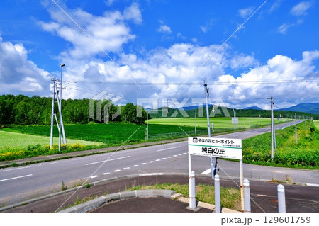 そばの花ビューポイント 純白の丘 (北海道幌加内町) そばの花ビューポイント 純白の丘 (北海道幌加内町) 129601759