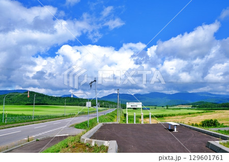 そばの花ビューポイント　純白の丘　(北海道幌加内町) 129601761