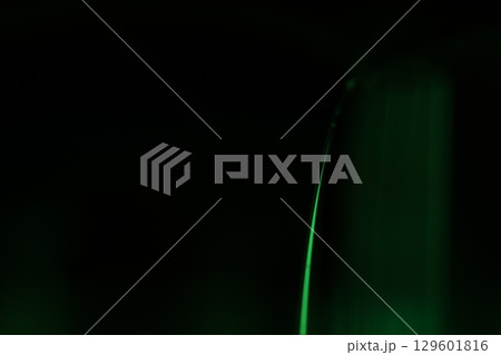 Green liquid film, fantastic bubbles connections, fluid movement, dark fantastic background, transparent oil, green ink 129601816
