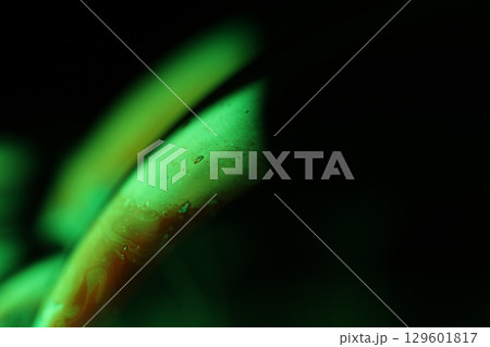 Green liquid film, fantastic bubbles connections, fluid movement, dark fantastic background, transparent oil, green ink 129601817