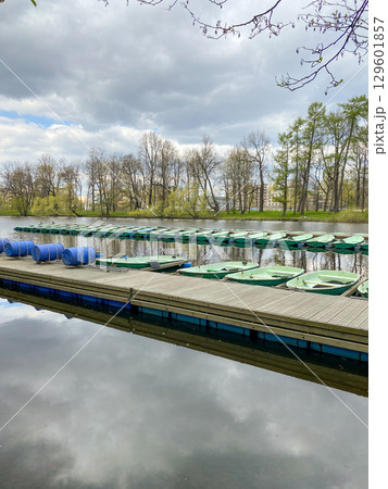 Dozens of green boats sit neatly on a dock by a calm lake, surrounded by trees reflecting in the water, creating a peaceful atmosphere in spring. 129601857