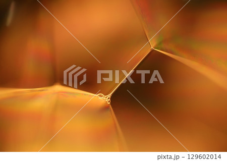Orange coloured liquid surface, fluid effect, bright chemistry, geometric shapes Orange coloured liquid surface, fluid effect, bright chemistry, geometric shapes 129602014