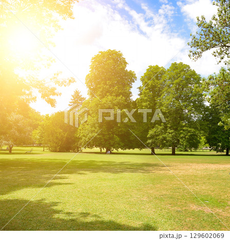 Bright Summer Park with Sun Flare Bright Summer Park with Sun Flare 129602069