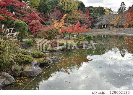 京都仙洞御所　八ツ橋から見る秋の景色(京都市上京区) 129602156